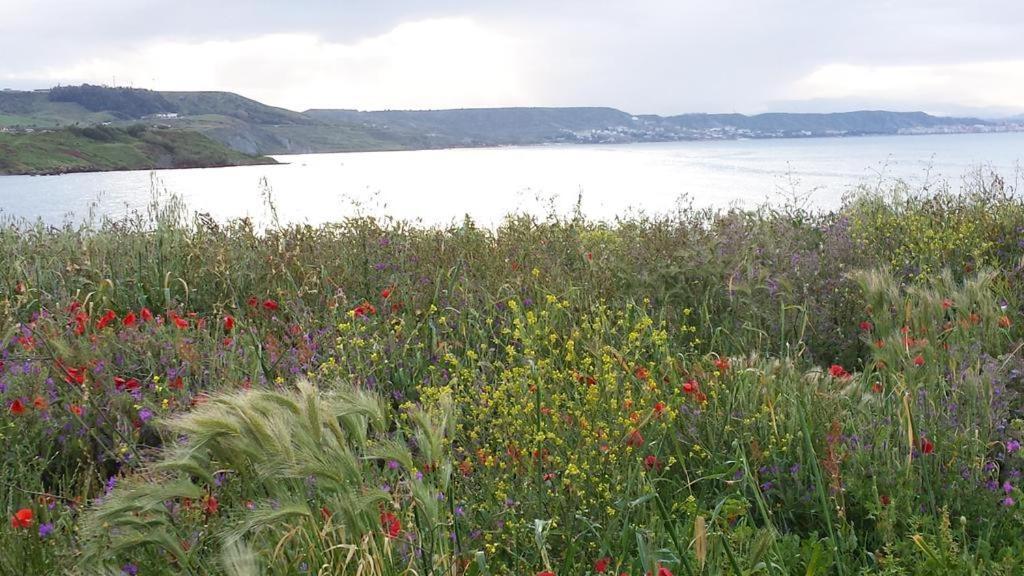 B&B I Viaggi Di Edo Crotone Eksteriør billede
